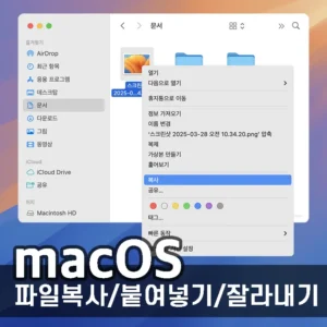macOS 파일 복사 붙여넣기 잘라내기 관리