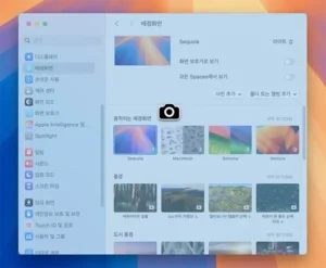창 캡쳐시 그림자 없이 스크린샷 캡처하는 방법