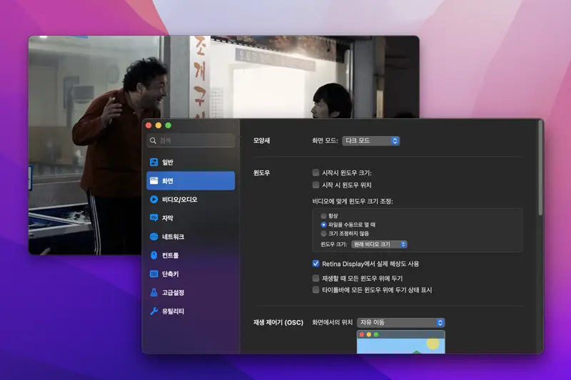 IINA의 설정창